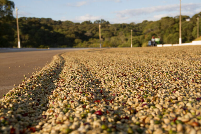 galeria-planalto-4